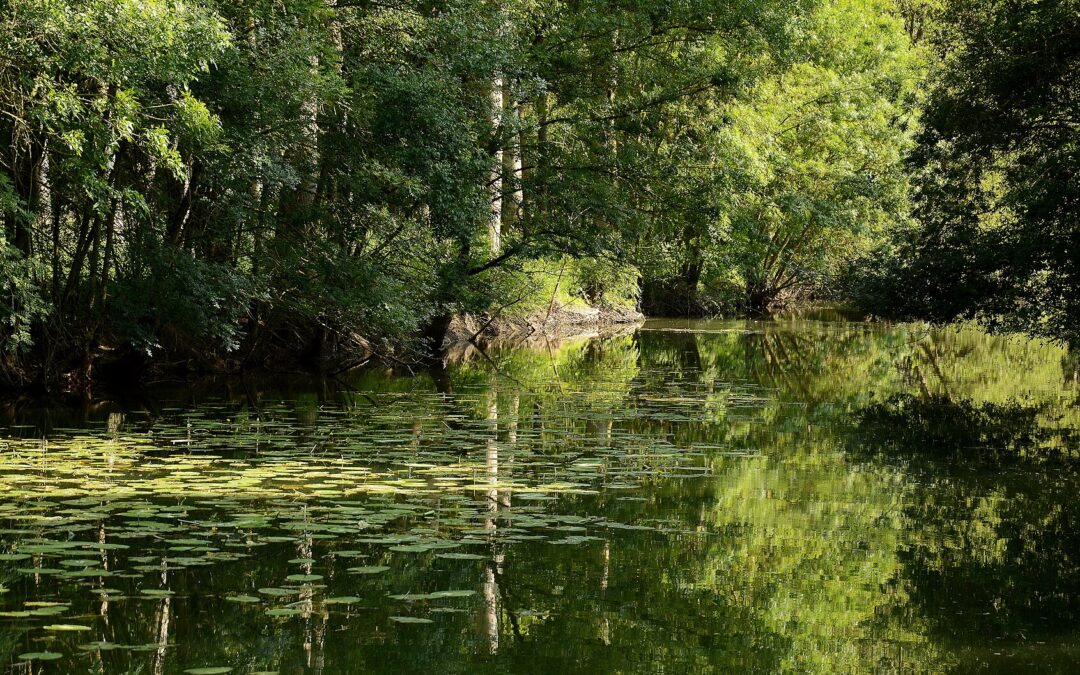 Analyse de la crise écologique par Jean-Roland Lassalle