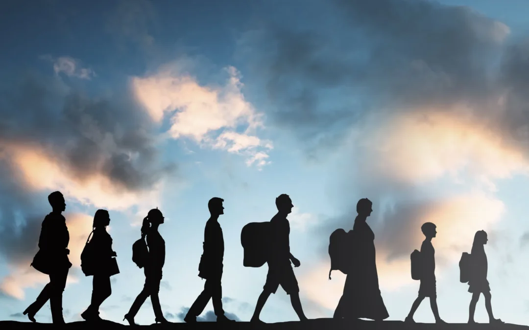Migrations, réflexions et propositions du MEI