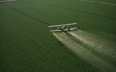 Loi Duplomb: un véritable contresens pour la sécurité environnementale et sanitaire