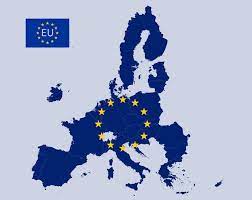Les Écologistes (MEI) préparent les élections européennes