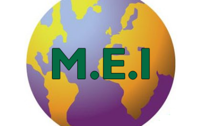 MEI – Les Verts : Quelles différences ?