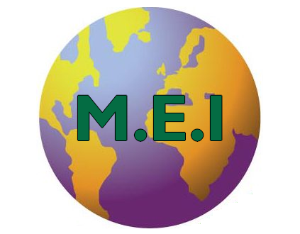 MEI – Les Verts : Quelles différences ?